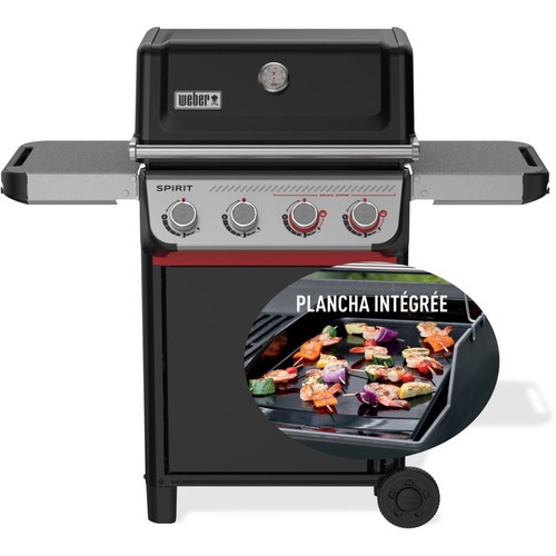 Barbecue gaz weber - barbecue, spirit