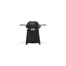 Barbecue gaz WEBER Q 2800N